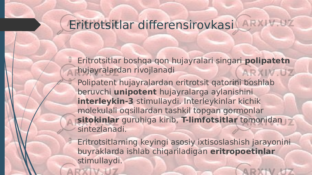 Eritrotsitlar differensirovkasi  Eritrotsitlar boshqa qon hujayralari singari polipatetn hujayralardan rivojlanadi  Polipatent hujayralardan eritrotsit qatorini boshlab beruvchi unipotent hujayralarga aylanishini interleykin-3 stimullaydi. Interleykinlar kichik molekulali oqsillardan tashkil topgan gormonlar sitokinlar guruhiga kirib, T-limfotsitlar tomonidan sintezlanadi.  Eritrotsitlarning keyingi asosiy ixtisoslashish jarayonini buyraklarda ishlab chiqariladigan eritropoetinlar stimullaydi. 