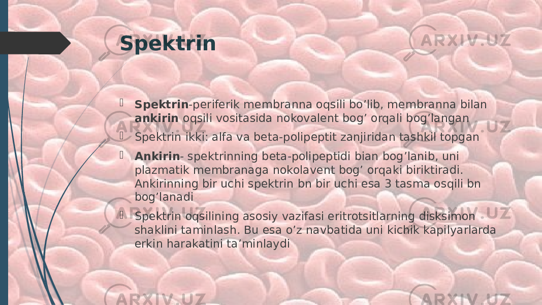 Spektrin  Spektrin -periferik membranna oqsili bo’lib, membranna bilan ankirin oqsili vositasida nokovalent bog’ orqali bog’langan  Spektrin ikki: alfa va beta-polipeptit zanjiridan tashkil topgan  Ankirin - spektrinning beta-polipeptidi bian bog’lanib, uni plazmatik membranaga nokolavent bog’ orqaki biriktiradi. Ankirinning bir uchi spektrin bn bir uchi esa 3 tasma osqili bn bog’lanadi  Spektrin oqsilining asosiy vazifasi eritrotsitlarning disksimon shaklini taminlash. Bu esa o’z navbatida uni kichik kapilyarlarda erkin harakatini ta’minlaydi 