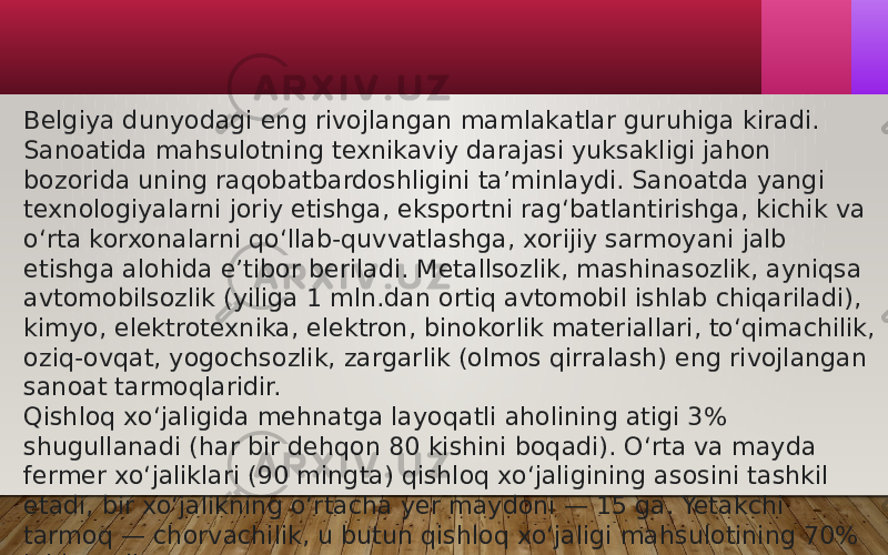 Belgiya dunyodagi eng rivojlangan mamlakatlar guruhiga kiradi. Sanoatida mahsulotning texnikaviy darajasi yuksakligi jahon bozorida uning raqobatbardoshligini taʼminlaydi. Sanoatda yangi texnologiyalarni joriy etishga, eksportni ragʻbatlantirishga, kichik va oʻrta korxonalarni qoʻllab-quvvatlashga, xorijiy sarmoyani jalb etishga alohida eʼtibor beriladi. Metallsozlik, mashinasozlik, ayniqsa avtomobilsozlik (yiliga 1 mln.dan ortiq avtomobil ishlab chiqariladi), kimyo, elektrotexnika, elektron, binokorlik materiallari, toʻqimachilik, oziq-ovqat, yogochsozlik, zargarlik (olmos qirralash) eng rivojlangan sanoat tarmoqlaridir. Qishloq xoʻjaligida mehnatga layoqatli aholining atigi 3% shugullanadi (har bir dehqon 80 kishini boqadi). Oʻrta va mayda fermer xoʻjaliklari (90 mingta) qishloq xoʻjaligining asosini tashkil etadi, bir xoʻjalikning oʻrtacha yer maydoni — 15 ga. Yetakchi tarmoq — chorvachilik, u butun qishloq xoʻjaligi mahsulotining 70% ini beradi.  