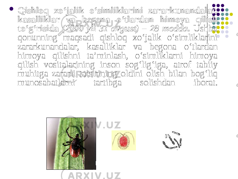  Qishloq xo‘jalik o‘simliklarini zararkunandalar, kasalliklar va begona o‘tlardan himoya qilish to‘g‘risida (2000 yil 31 avgust) – 28 modda. Ushbu qonunning maqsadi qishloq xo‘jalik o‘simliklarini zararkunandalar, kasalliklar va begona o‘tlardan himoya qilishni ta’minlash, o‘simliklarni himoya qilish vositalarining inson sog‘lig‘iga, atrof tabiiy muhitga zararli ta’sirining oldini olish bilan bog‘liq munosabatlarni tartibga solishdan iborat. 