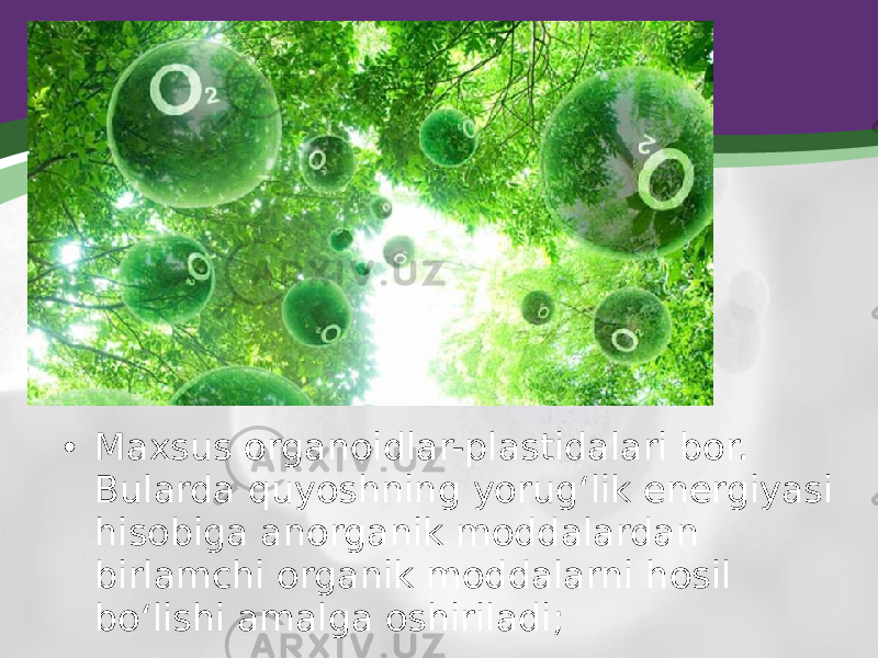 • Maxsus organoidlar-plastidalari bor. Bularda quyoshning yorug‘lik energiyasi hisobiga anorganik moddalardan birlamchi organik moddalarni hosil bo‘lishi amalga oshiriladi; 