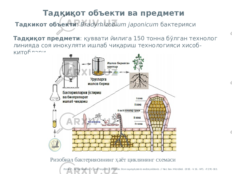  Тадкикот объекти : Bradyrhizobium japonicum бактерияси Тадқиқот предмети : қуввати йилига 150 тонна бўлган технолог линияда соя инокуляти ишлаб чиқариш технологияси хисоб- китоблари. Тадқиқот объекти ва предмети Ризобиал бактериясининг ҳаёт циклининг схемаси Poole, P., Ramachandran, V., and Terpolilli, J. Rhizobia: from saprophytes to endosymbionts. // Nat. Rev. Microbiol. -2018. –V.16. -№5. –P.291–303. 