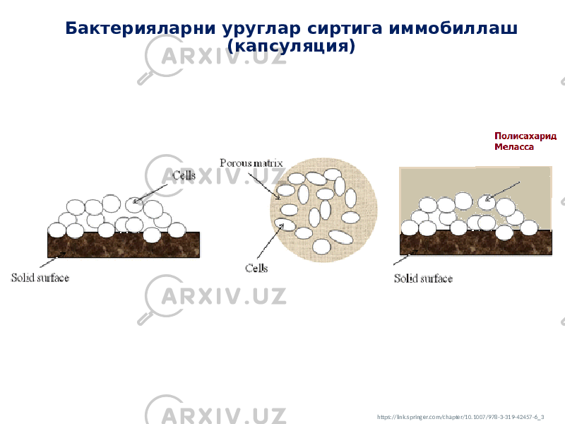 https://link.springer.com/chapter/10.1007/978-3-319-42457-6_3Бактерияларни уруглар сиртига иммобиллаш (капсуляция) 