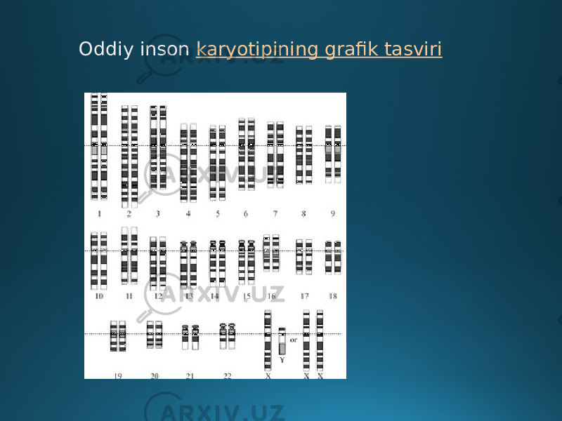 Oddiy inson karyotipining grafik tasviri 