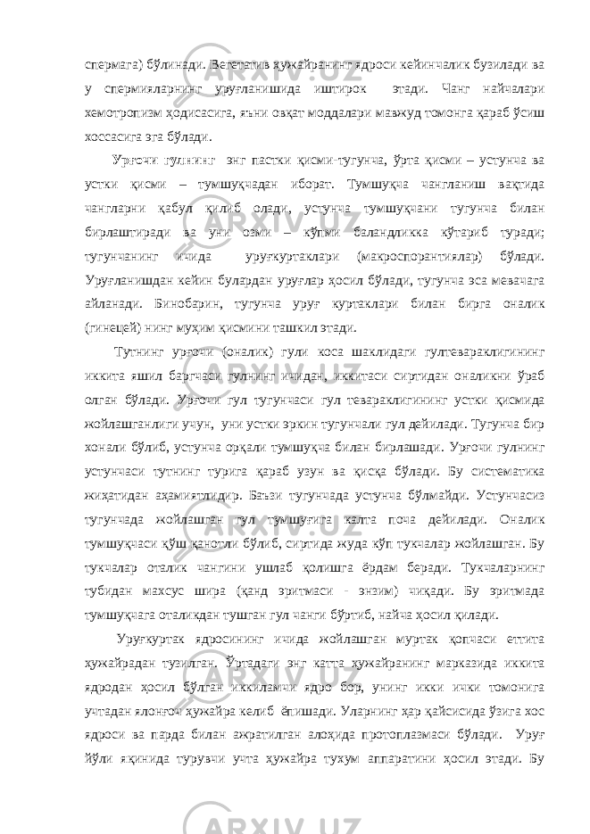 спермага) бўлинади. Вегетатив ҳужайранинг ядроси кейинчалик бузилади ва у спермияларнинг уруғланишида иштирок этади. Чанг найчалари хемотропизм ҳодисасига, яъни овқат моддалари мавжуд томонга қараб ўсиш хоссасига эга бўлади. Урғочи гулнинг энг пастки қисми-тугунча, ўрта қисми – устунча ва устки қисми – тумшуқчадан иборат. Тумшуқча чангланиш вақтида чангларни қабул қилиб олади, устунча тумшуқчани тугунча билан бирлаштиради ва уни озми – кўпми баландликка кўтариб туради; тугунчанинг ичида уруғкуртаклари (макроспорантиялар) бўлади. Уруғланишдан кейин булардан уруғлар ҳосил бўлади, тугунча эса мевачага айланади. Бинобарин, тугунча уруғ куртаклари билан бирга оналик (гинецей) нинг муҳим қисмини ташкил этади. Тутнинг урғочи (оналик) гули коса шаклидаги гултевараклигининг иккита яшил баргчаси гулнинг ичидан, иккитаси сиртидан оналикни ўраб олган бўлади. Урғочи гул тугунчаси гул тевараклигининг устки қисмида жойлашганлиги учун, уни устки эркин тугунчали гул дейилади. Тугунча бир хонали бўлиб, устунча орқали тумшуқча билан бирлашади. Урғочи гулнинг устунчаси тутнинг турига қараб узун ва қисқа бўлади. Бу систематика жиҳатидан аҳамиятлидир. Баъзи тугунчада устунча бўлмайди. Устунчасиз тугунчада жойлашган гул тумшуғига калта поча дейилади. Оналик тумшуқчаси қўш қанотли бўлиб, сиртида жуда кўп тукчалар жойлашган. Бу тукчалар оталик чангини ушлаб қолишга ёрдам беради. Тукчаларнинг тубидан махсус шира (қанд эритмаси - энзим) чиқади. Бу эритмада тумшуқчага оталикдан тушган гул чанги бўртиб, найча ҳосил қилади. Уруғкуртак ядросининг ичида жойлашган муртак қопчаси еттита ҳужайрадан тузилган. Ўртадаги энг катта ҳужайранинг марказида иккита ядродан ҳосил бўлган иккиламчи ядро бор, унинг икки ички томонига учтадан ялонғоч ҳужайра келиб ёпишади. Уларнинг ҳар қайсисида ўзига хос ядроси ва парда билан ажратилган алоҳида протоплазмаси бўлади. Уруғ йўли яқинида турувчи учта ҳужайра тухум аппаратини ҳосил этади. Бу 