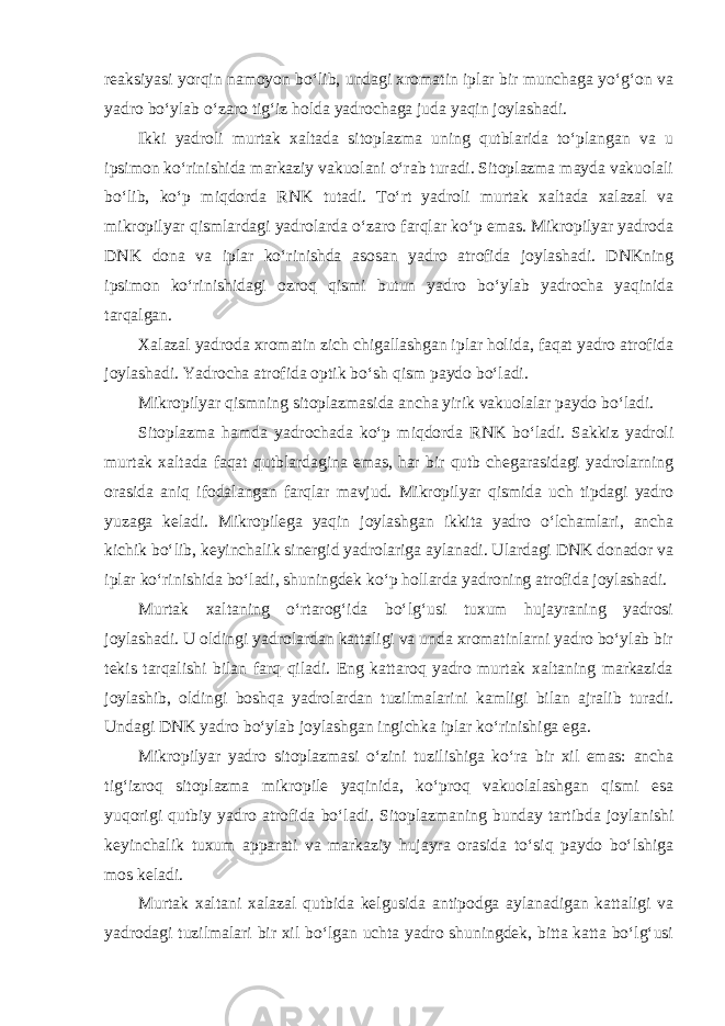 reaksiyasi yorqin namoyon bo‘lib, undagi xromatin iplar bir munchaga yo‘g‘on va yadro bo‘ylab o‘zaro tig‘iz holda yadrochaga juda yaqin joylashadi. Ikki yadroli murtak xaltada sitoplazma uning qutblarida to‘plangan va u ipsimon ko‘rinishida markaziy vakuolani o‘rab turadi. Sitoplazma mayda vakuolali bo‘lib, ko‘p miqdorda RNK tutadi. To‘rt yadroli murtak xaltada xalazal va mikropilyar qismlardagi yadrolarda o‘zaro farqlar ko‘p emas. Mikropilyar yadroda DNK dona va iplar ko‘rinishda asosan yadro atrofida joylashadi. DNKning ipsimon ko‘rinishidagi ozroq qismi butun yadro bo‘ylab yadrocha yaqinida tarqalgan. Xalazal yadroda xromatin zich chigallashgan iplar holida, faqat yadro atrofida joylashadi. Yadrocha atrofida optik bo‘sh qism paydo bo‘ladi. Mikropilyar qismning sitoplazmasida ancha yirik vakuolalar paydo bo‘ladi. Sitoplazma hamda yadrochada ko‘p miqdorda RNK bo‘ladi. Sakkiz yadroli murtak xaltada faqat qutblardagina emas, har bir qutb chegarasidagi yadrolarning orasida aniq ifodalangan farqlar mavjud. Mikropilyar qismida uch tipdagi yadro yuzaga keladi. Mikropilega yaqin joylashgan ikkita yadro o‘lchamlari, ancha kichik bo‘lib, keyinchalik sinergid yadrolariga aylanadi. Ulardagi DNK donador va iplar ko‘rinishida bo‘ladi, shuningdek ko‘p hollarda yadroning atrofida joylashadi. Murtak xaltaning o‘rtarog‘ida bo‘lg‘usi tuxum hujayraning yadrosi joylashadi. U oldingi yadrolardan kattaligi va unda xromatinlarni yadro bo‘ylab bir tekis tarqalishi bilan farq qiladi. Eng kattaroq yadro murtak xaltaning markazida joylashib, oldingi boshqa yadrolardan tuzilmalarini kamligi bilan ajralib turadi. Undagi DNK yadro bo‘ylab joylashgan ingichka iplar ko‘rinishiga ega. Mikropilyar yadro sitoplazmasi o‘zini tuzilishiga ko‘ra bir xil emas: ancha tig‘izroq sitoplazma mikropile yaqinida, ko‘proq vakuolalashgan qismi esa yuqorigi qutbiy yadro atrofida bo‘ladi. Sitoplazmaning bunday tartibda joylanishi keyinchalik tuxum apparati va markaziy hujayra orasida to‘siq paydo bo‘lshiga mos keladi. Murtak xaltani xalazal qutbida kelgusida antipodga aylanadigan kattaligi va yadrodagi tuzilmalari bir xil bo‘lgan uchta yadro shuningdek, bitta katta bo‘lg‘usi 