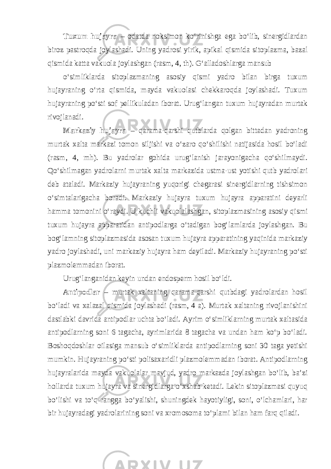 Tuxum hujayra – odatda noksimon ko‘rinishga ega bo‘lib, sinergidlardan biroz pastroqda joylashadi. Uning yadrosi yirik, apikal qismida sitoplazma, bazal qismida katta vakuola joylashgan (rasm, 4, th). G‘alladoshlarga mansub o‘simliklarda sitoplazmaning asosiy qismi yadro bilan birga tuxum hujayraning o‘rta qismida, mayda vakuolasi chekkaroqda joylashadi. Tuxum hujayraning po‘sti sof pellikuladan iborat. Urug‘langan tuxum hujayradan murtak rivojlanadi. Markaziy hujayra – qarama-qarshi qutblarda qolgan bittadan yadroning murtak xalta markazi tomon siljishi va o‘zaro qo‘shilishi natijasida hosil bo‘ladi (rasm, 4, mh). Bu yadrolar gohida urug‘lanish jarayonigacha qo‘shilmaydi. Qo‘shilmagan yadrolarni murtak xalta markazida ustma-ust yotishi qutb yadrolari deb ataladi. Markaziy hujayraning yuqorigi chegarasi sinergidlarning tishsimon o‘simtalarigacha boradi. Markaziy hujayra tuxum hujayra apparatini deyarli hamma tomonini o‘raydi. U kuchli vakuolalashgan, sitoplazmasining asosiy qismi tuxum hujayra apparatidan antipodlarga o‘tadigan bog‘lamlarda joylashgan. Bu bog‘lamning sitoplazmasida asosan tuxum hujayra apparatining yaqinida markaziy yadro joylashadi, uni markaziy hujayra ham deyiladi. Markaziy hujayraning po‘sti plazmolemmadan iborat. Urug‘langanidan keyin undan endosperm hosil bo‘ldi. Antipodlar – murtak xaltaning qarama-qarshi qutbdagi yadrolardan hosil bo‘ladi va xalazal qismida joylashadi (rasm, 4 a). Murtak xaltaning rivojlanishini dastlabki davrida antipodlar uchta bo‘ladi. Ayrim o‘simliklarning murtak xaltasida antipodlarning soni 6 tagacha, ayrimlarida 8 tagacha va undan ham ko‘p bo‘ladi. Boshoqdoshlar oilasiga mansub o‘simliklarda antipodlarning soni 30 taga yetishi mumkin. Hujayraning po‘sti polisaxaridli plazmolemmadan iborat. Antipodlarning hujayralarida mayda vakuolalar mavjud, yadro markazda joylashgan bo‘lib, ba’zi hollarda tuxum hujayra va sinergidlarga o‘xshab ketadi. Lekin sitoplazmasi quyuq bo‘lishi va to‘q rangga bo‘yalishi, shuningdek hayotiyligi, soni, o‘lchamlari, har bir hujayradagi yadrolarining soni va xromosoma to‘plami bilan ham farq qiladi. 