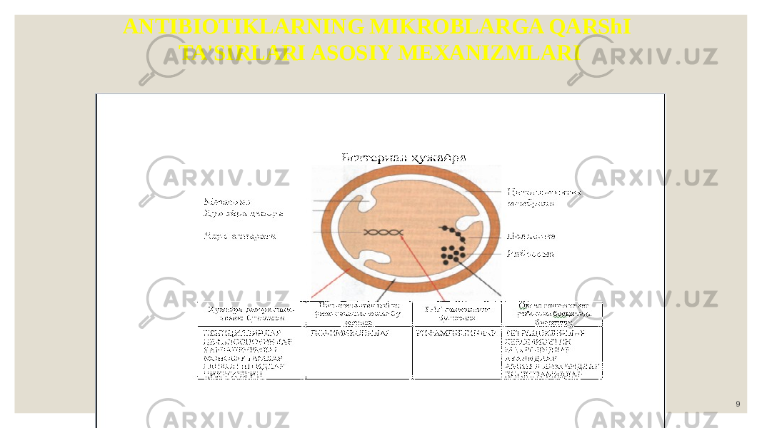 9ANTIBIOTIKLARNING MIKROBLARGA QARShI TA&#39;SIRLARI ASOSIY MEXANIZMLARI 