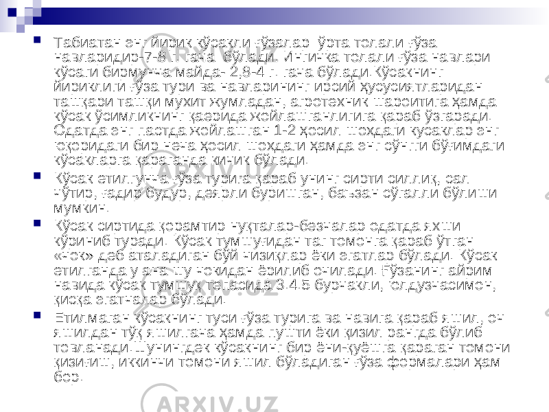  Табиатан энг йирик кўсакли ғўзалар ўрта толали ғўза навларидир-7-8 г. гача бўлади. Ингичка толали ғўза навлари кўсаги бирмунча майда- 2,8-4 г. гача бўлади.Кўсакнинг йириклиги ғўза тури ва навларининг ирсий ҳусусиятларидан ташқари ташқи мухит жумладан, агротехник шароитига ҳамда кўсак ўсимликнинг қаерида жойлашганлигига қараб ўзгаради. Одатда энг пастда жойлашган 1-2 ҳосил шохдаги кусаклар энг юқоридаги бир неча ҳосил шохдаги ҳамда энг сўнгги бўғимдаги кўсакларга қараганда кичик бўлади.  Кўсак етилгунча ғўза турига қараб унинг сирти силлиқ, сал чўтир, ғадир будур, деярли буришган, баъзан сўгалли бўлиши мумкин.  Кўсак сиртида қорамтир нуқталар-безчалар одатда яхши кўриниб туради. Кўсак тумшуғидан таг томонга қараб ўтган «чок» деб аталадиган бўй чизиқлар ёки эгатлар бўлади. Кўсак етилганда у ана шу чокидан ёрилиб очилади. Ғўзанинг айрим навида кўсак тумшуқ тепасида 3.4.5 бурчакли, юлдузчасимон, қисқа эгатчалар бўлади.  Етилмаган кўсакнинг туси ғўза турига ва навига қараб яшил, оч яшилдан тўқ яшилгача ҳамда пушти ёки қизил рангда бўлиб товланади.Шунингдек кўсакнинг бир ёни-қуёшга қараган томони қизиғиш, иккинчи томони яшил бўладиган ғўза формалари ҳам бор. 