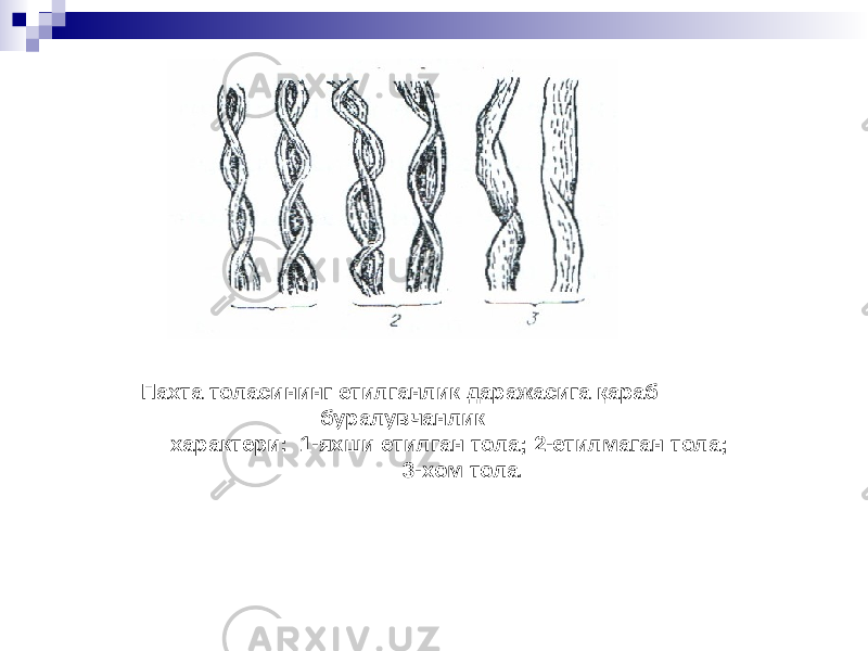 Пахта толасининг етилганлик даражасига қараб буралувчанлик характери: 1-яхши етилган тола; 2-етилмаган тола; 3-хом тола. 