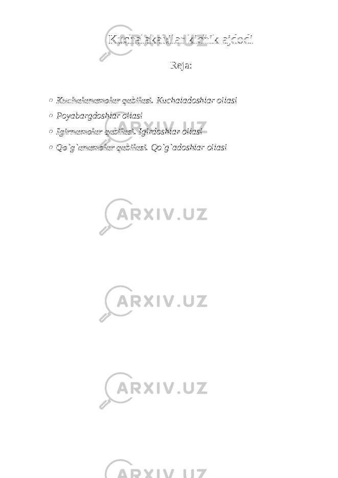 Kuchalakabilar kichik ajdodi Reja: Kuchalanamolar qabilasi. Kuchaladoshlar oilasi  Poyabargdoshlar oilasi  Igirnamolar qabilasi. Igirdoshlar oilasi  Qo`g`anamolar qabilasi. Qo`g`adoshlar oilasi 