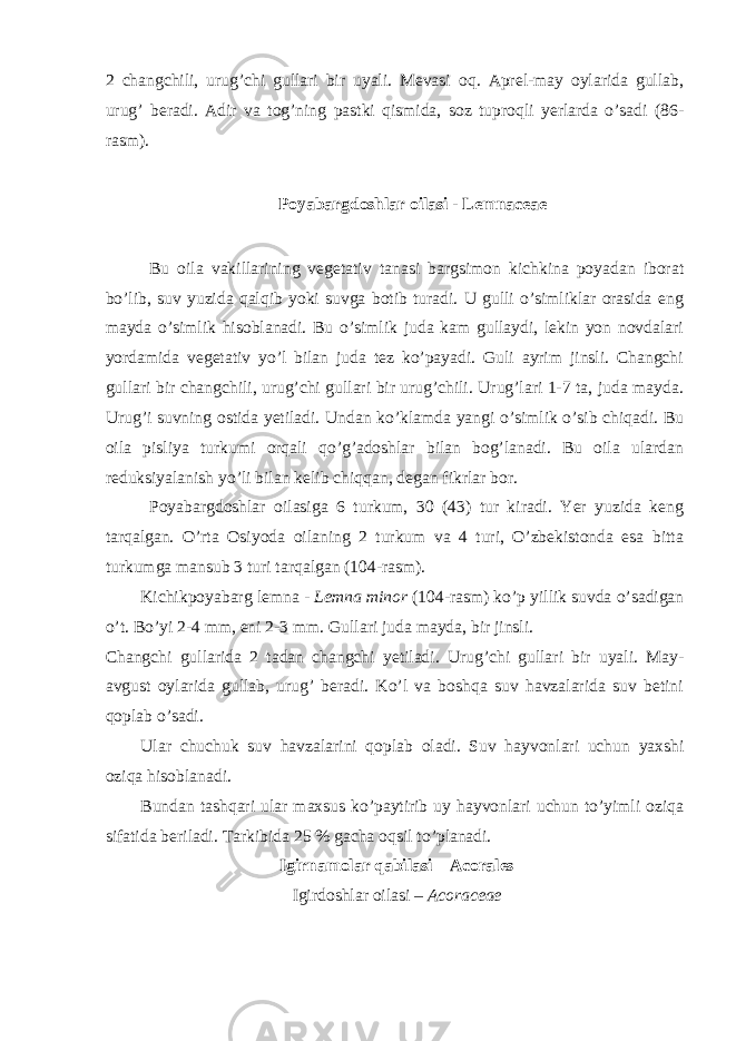 2 changchili, urug’chi gullari bir uyali. Mevasi oq. Aprel-may oylarida gullab, urug’ beradi. Adir va tog’ning pastki qismida, soz tuproqli yerlarda o’sadi (86- rasm). Poyabargdoshlar oilasi - Lemnaceae Bu oila vakillarining vegetativ tanasi bargsimon kichkina poyadan iborat bo’lib, suv yuzida qalqib yoki suvga botib turadi. U gulli o’simliklar orasida eng mayda o’simlik hisoblanadi. Bu o’simlik juda kam gullaydi, lekin yon novdalari yordamida vegetativ yo’l bilan juda tez ko’payadi. Guli ayrim jinsli. Changchi gullari bir changchili, urug’chi gullari bir urug’chili. Urug’lari 1-7 ta, juda mayda. Urug’i suvning ostida yetiladi. Undan ko’klamda yangi o’simlik o’sib chiqadi. Bu oila pisliya turkumi orqali qo’g’adoshlar bilan bog’lanadi. Bu oila ulardan reduksiyalanish yo’li bilan kelib chiqqan, degan fikrlar bor. Poyabargdoshlar oilasiga 6 turkum, 30 (43) tur kiradi. Yer yuzida keng tarqalgan. O’rta Osiyoda oilaning 2 turkum va 4 turi, O’zbekistonda esa bitta turkumga mansub 3 turi tarqalgan (104-rasm). Kichikpoyabarg lemna - Lemna minor (104-rasm) ko’p yillik suvda o’sadigan o’t. Bo’yi 2-4 mm, eni 2-3 mm. Gullari juda mayda, bir jinsli. Changchi gullarida 2 tadan changchi yetiladi. Urug’chi gullari bir uyali. May- avgust oylarida gullab, urug’ beradi. Ko’l va boshqa suv havzalarida suv betini qoplab o’sadi. Ular chuchuk suv havzalarini qoplab oladi. Suv hayvonlari uchun yaxshi oziqa hisoblanadi. Bundan tashqari ular maxsus ko’paytirib uy hayvonlari uchun to’yimli oziqa sifatida beriladi. Tarkibida 25 % gacha oqsil to’planadi. Igirnamolar qabilasi – Acorales Igirdoshlar oilasi – Acoraceae 