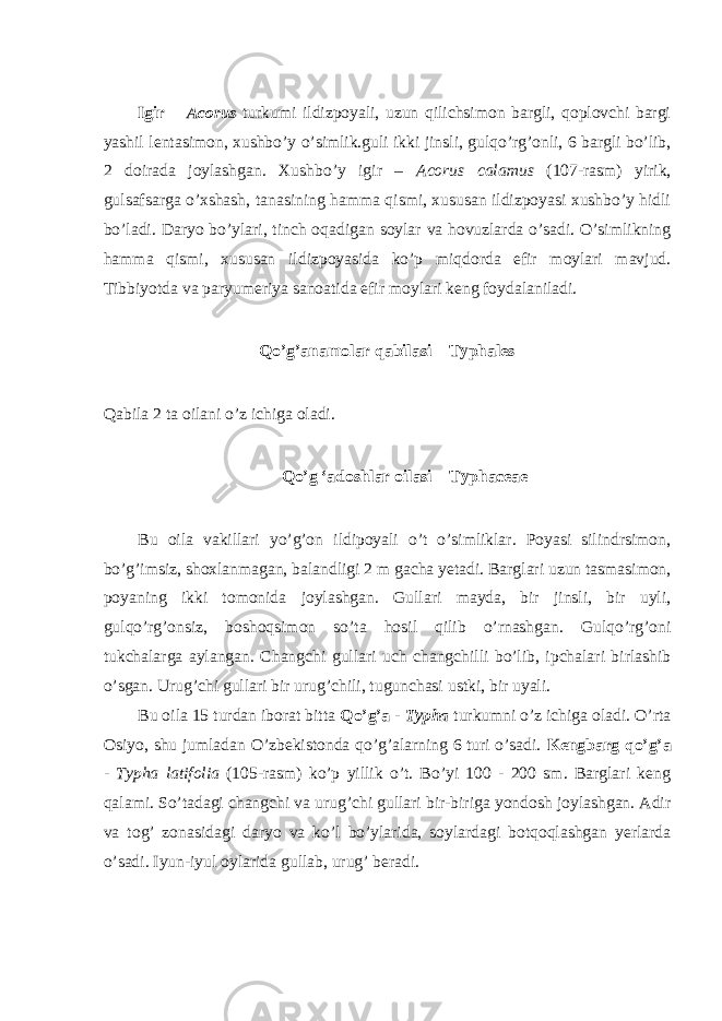  Igir – Acorus turkumi ildizpoyali, uzun qilichsimon bargli, qoplovchi bargi yashil lentasimon, xushbo’y o’simlik.guli ikki jinsli, gulqo’rg’onli, 6 bargli bo’lib, 2 doirada joylashgan. Xushbo’y igir – Acorus calamus (107-rasm) yirik, gulsafsarga o’xshash, tanasining hamma qismi, xususan ildizpoyasi xushbo’y hidli bo’ladi. Daryo bo’ylari, tinch oqadigan soylar va hovuzlarda o’sadi. O’simlikning hamma qismi, xususan ildizpoyasida ko’p miqdorda efir moylari mavjud. Tibbiyotda va paryumeriya sanoatida efir moylari keng foydalaniladi. Qo’g’anamolar qabilasi – Typhales Qabila 2 ta oilani o’z ichiga oladi. Qo’g ‘adoshlar oilasi – Typhaceae Bu oila vakillari yo’g’on ildipoyali o’t o’simliklar. Poyasi silindrsimon, bo’g’imsiz, shoxlanmagan, balandligi 2 m gacha yetadi. Barglari uzun tasmasimon, poyaning ikki tomonida joylashgan. Gullari mayda, bir jinsli, bir uyli, gulqo’rg’onsiz, boshoqsimon so’ta hosil qilib o’rnashgan. Gulqo’rg’oni tukchalarga aylangan. Changchi gullari uch changchilli bo’lib, ipchalari birlashib o’sgan. Urug’chi gullari bir urug’chili, tugunchasi ustki, bir uyali. Bu oila 15 turdan iborat bitta Qo’g’a - Typha turkumni o’z ichiga oladi. O’rta Osiyo, shu jumladan O’zbekistonda qo’g’alarning 6 turi o’sadi. Kengbarg qo’g’a - Typha latifolia (105-rasm) ko’p yillik o’t. Bo’yi 100 - 200 sm. Barglari keng qalami. So’tadagi changchi va urug’chi gullari bir-biriga yondosh joylashgan. Adir va tog’ zonasidagi daryo va ko’l bo’ylarida, soylardagi botqoqlashgan yerlarda o’sadi. Iyun-iyul oylarida gullab, urug’ beradi. 