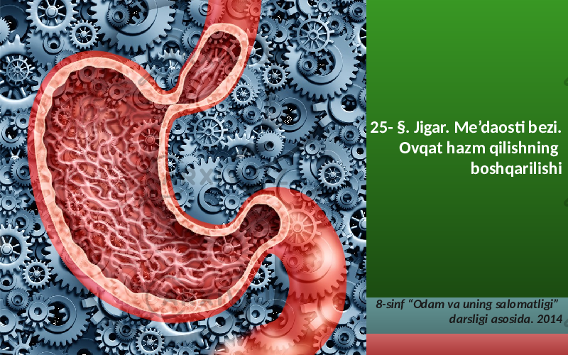 25- §. Jigar. Me’daosti bezi. Ovqat hazm qilishning boshqarilishi 8-sinf “Odam va uning salomatligi” darsligi asosida. 2014 