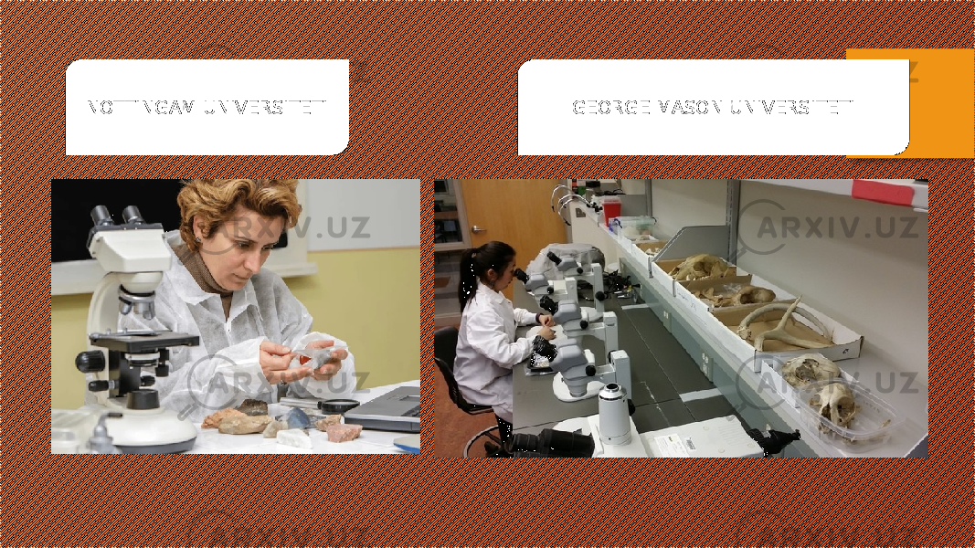 NOTTINGAM UNIVERSITETI GEORGE MASON UNIVERSITETI 