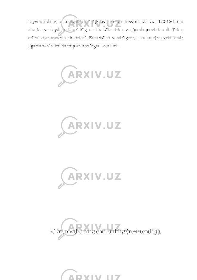 hayvonlarda va cho’chqalarda 1-1,5 oy, boshqa hayvonlarda esa 120-160 kun atrofida yashaydilar. Umri bitgan eritrotsitlar taloq va jigarda parchalanadi. Taloq eritrotsitlar mazori deb ataladi. Eritrotsitlar yemirilgach, ulardan ajraluvchi temir jigarda zahira holida to’planib so’ngra ishlatiladi. 5.Eritrositlarning chidamliligi(rezistentligi). 