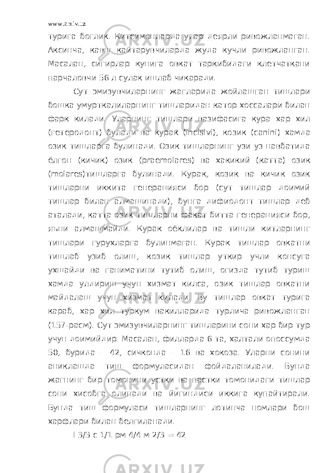 www.arxiv.uz турига боглик. Китсимонларда улар деярли ривожланмаган. Аксинча, кавш кайтарувчиларда жуда кучли ривожланган. Масалан, сигирлар кунига овкат таркибидаги клетчаткани парчаловчи 56 л сулак ишлаб чикаради. Сут эмизувчиларнинг жагларида жойлашган тишлари бошка умурткалиларнинг тишларидан катор хоссалари билан фарк килади. Уларнинг тишлари вазифасига кура хар хил (гетеродонт) булади ва курак ( incisivi ), козик ( canini ) хамда озик тишларга булинади. Озик тишларнинг узи уз навбатида ёлгон (кичик) озик ( praemolares ) ва хакикий (катта) озик ( molares )тишларга булинади. Курак, козик ва кичик озик тишларни иккита генерацияси бор (сут тишлар доимий тишлар билан алмашинади), бунга дифиодонт тишлар деб аталади, катта озик тишларни факат битта генерацияси бор, яъни алмашмайди. Курак оёклилар ва тишли китларнинг тишлари гурухларга булинмаган. Курак тишлар овкатни тишлаб узиб олиш, козик тишлар уткир учли консуга ухшайди ва ганиматини тутиб олиш, огизда тутиб туриш хамда улдириш учун хизмат килса, озик тишлар овкатни майдалаш учун хизмат килади. Бу тишлар овкат турига караб, хар хил туркум вакилларида турлича ривожланган (157-расм). Сут эмизувчиларнинг тишларини сони хар бир тур учун доимийдир. Масалан, филларда 6 та, халтали опоссумда 50, бурида – 42, сичконда – 16 ва хокоза. Уларни сонини аниклашда тиш формуласидан фойдаланилади. Бунда жагнинг бир томонини устки ва пастки томонидаги тишлар сони хисобга олинади ва йигиндиси иккига купайтирали. Бунда тиш формуласи тишларнинг лотинча номлари бош харфлари билан белгиланади. I 3/3 с 1/1 рм 4/4 м 2/3 = 42 