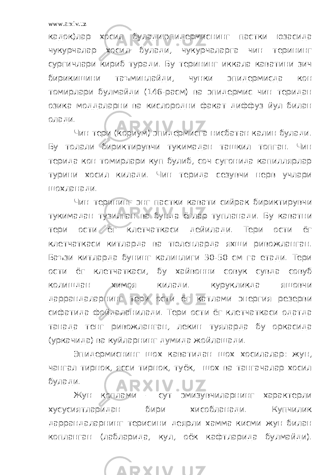 www.arxiv.uz кадок)лар хосил булади.эпидермиснинг пастки юзасида чукурчалар хосил булади, чукурчаларга чин терининг сургичлари кириб туради. Бу терининг иккала каватини зич бирикишини таъминлайди, чунки эпидермисда кон томирлари булмайди (146-расм) ва эпидермис чин теридан озика моддаларни ва кислородни факат диффуз йул билан олади. Чин тери (кориум) эпидермисга нисбатан калин булади. Бу толали бириктирувчи тукимадан ташкил топган. Чин терида кон томирлари куп булиб, соч сугонида капиллярлар турини хосил килади. Чин терида сезувчи нерв учлари шохланади. Чин терининг энг пастки кавати сийрак бириктирувчи тукимадан тузилган ва бунда ёглар тупланади. Бу каватни тери ости ёг клетчаткаси дейилади. Тери ости ёг клетчаткаси китларда ва тюленларда яхши ривожланган. Баъзи китларда бунинг калинлиги 30-50 см га етади. Тери ости ёг клетчаткаси, бу хайвонни совук сувда совуб колишдан химоя килади. курукликда яшовчи даррандаларнинг тери ости ёг катлами энергия резерви сифатида фойдаланилади. Тери ости ёг клетчаткаси одатда танада тенг ривожланган, лекин туяларда бу оркасида (уркачида) ва куйларнинг думида жойлашади. Эпидермиснинг шох каватидан шох хосилалар: жун, чангал тирнок, ясси тирнок, туёк, шох ва тангачалар хосил булади. Жун коплами – сут эмизувчиларнинг характерли хусусиятларидан бири хисобланади. Купчилик даррандаларнинг терисини деярли хамма кисми жун билан копланган (лабларида, кул, оёк кафтларида булмайди). 