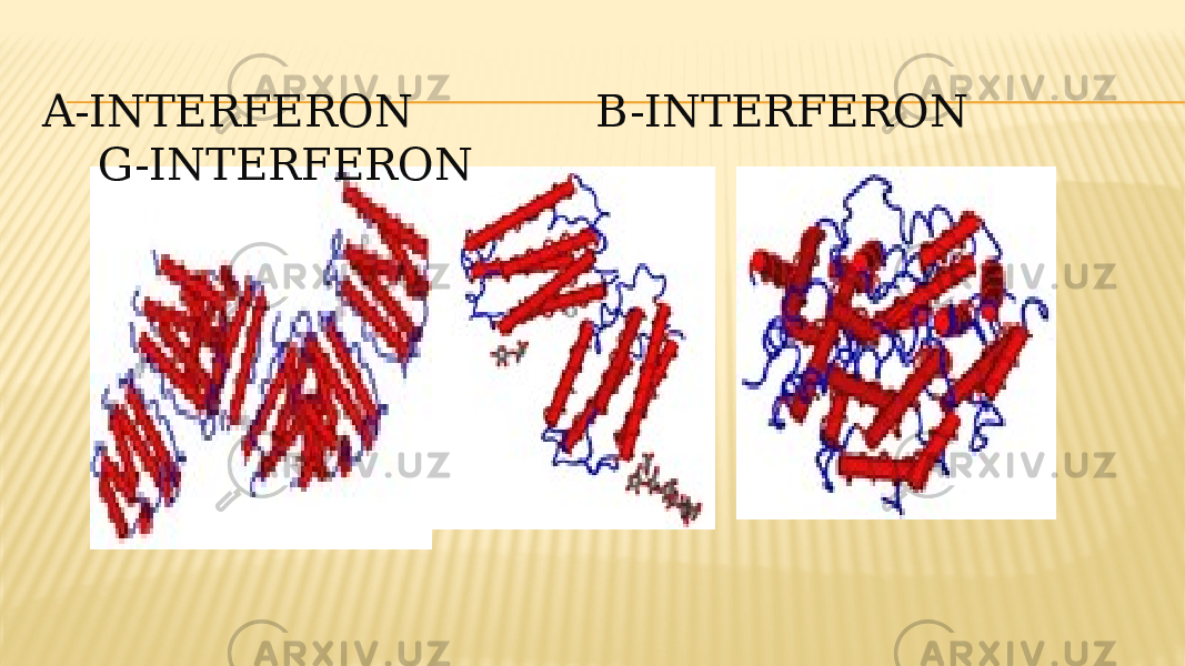 A-INTERFERON B-INTERFERON G-INTERFERON 