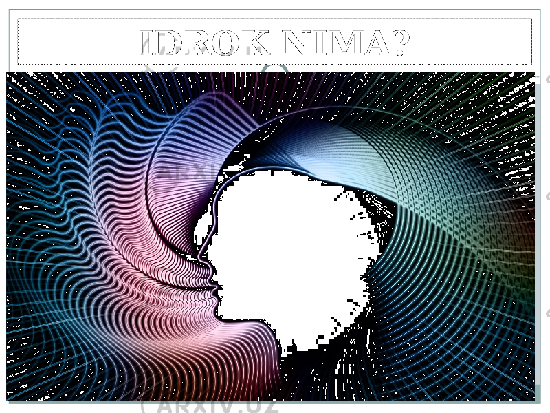 IDROK NIMA? 