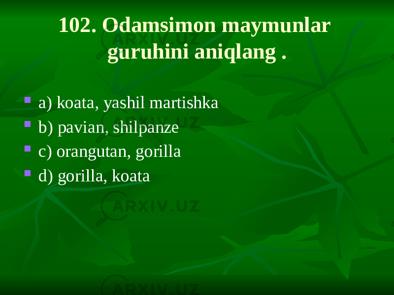 102. Odamsimon maymunlar guruhini aniqlang .  a) koata, yashil martishka  b) pavian, shilpanze  c) orangutan, gorilla  d) gorilla, koata 