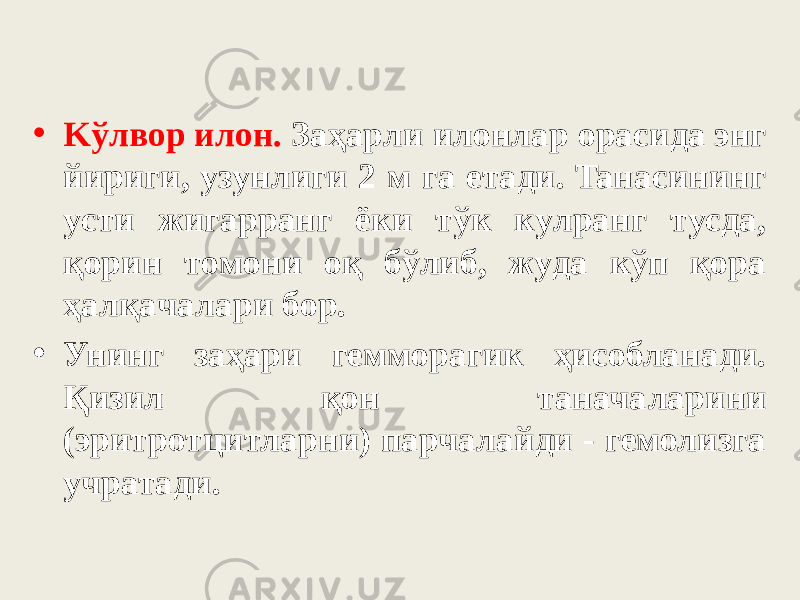 • Kўлвop илoн. Зaҳapли илoнлap opacидa энг йиpиги, yзyнлиги 2 м гa eтaди. Taнacининг ycти жигappaнг ёки тўк кyлpaнг тycдa, қopин тoмoни oқ бўлиб, жyдa кўп қopa ҳaлқaчaлapи бop. • Унинг заҳари гемморагик ҳисобланади. Қизил қон таначаларини (эритротцитларни) парчалайди - гемолизга учратади. 