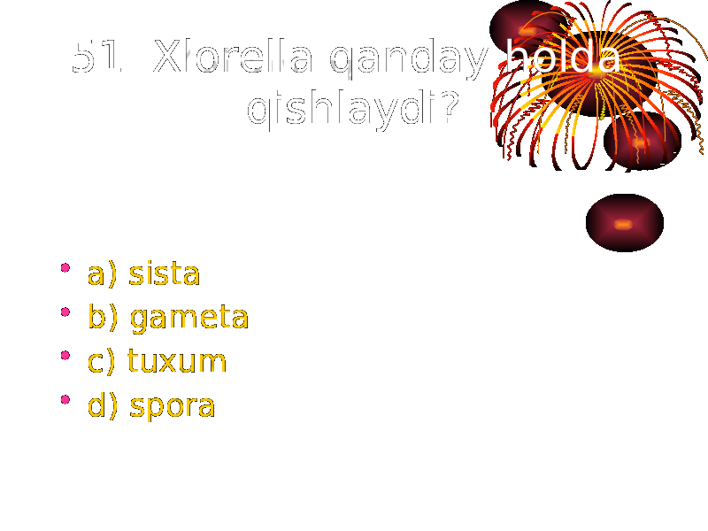 51. Xlorella qanday holda qishlaydi? • a) sista • b) gameta • c) tuxum • d) spora 