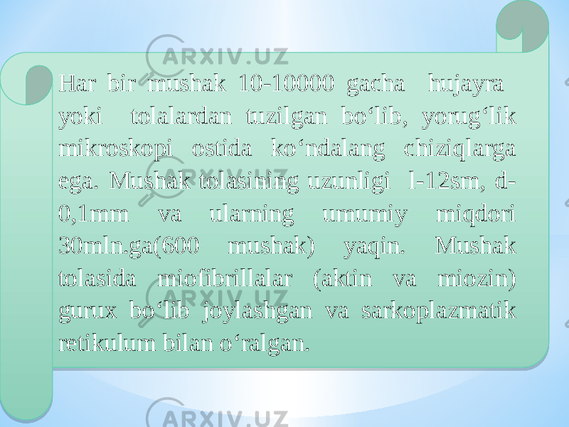 Har bir mushak 10-10000 gacha hujayra yoki tolalardan tuzilgan bo‘lib, yorug‘lik mikroskopi ostida ko‘ndalang chiziqlarga ega. Mushak tolasining uzunligi l-12sm, d- 0,1mm va ularning umumiy miqdori 30mln.ga(600 mushak) yaqin. Mushak tolasida miofibrillalar (aktin va miozin) gurux bo‘lib joylashgan va sarkoplazmatik retikulum bilan o‘ralgan. 40 16 06 02 34 41 0E14 11 0302 