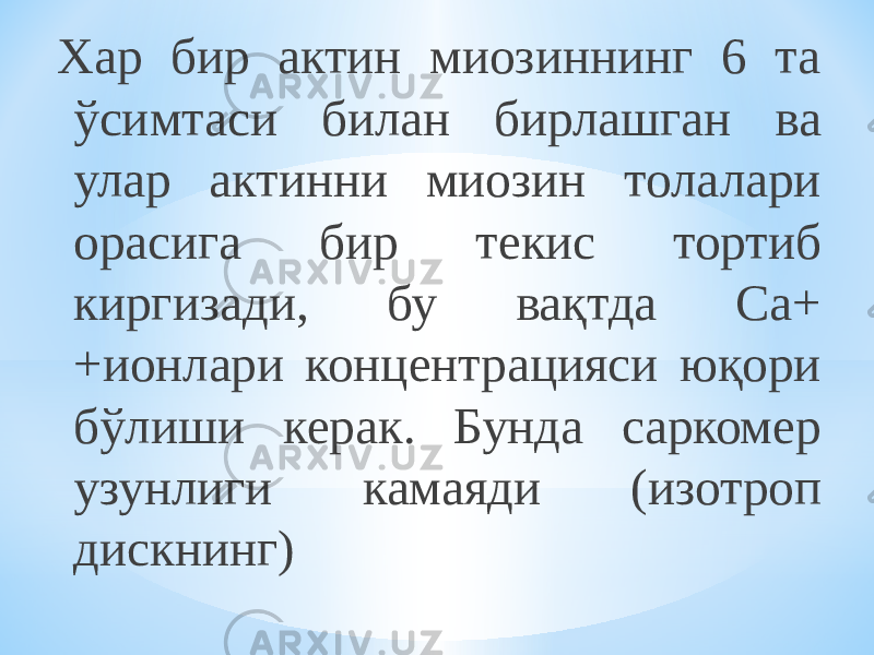 Хар бир актин миозиннинг 6 та ўсимтаси билан бирлашган ва улар актинни миозин толалари орасига бир текис тортиб киргизади, бу вақтда Са+ +ионлари концентрацияси юқори бўлиши керак. Бунда саркомер узунлиги камаяди (изотроп дискнинг) 