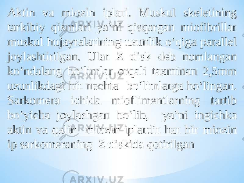 Aktin va miozin iplari. Muskul skeletining tarkibiy qismlari ya’ni qisqargan miofibrillar muskul hujayralarining uzunlik о‘qiga parallel joylashtirilgan. Ular Z disk deb nomlangan kо‘ndalang bо‘limlar orqali taxminan 2,5mm uzunlikdagi bir nechta bо‘limlarga bо‘lingan. Sarkomera ichida mioflimentlarning tartib bо‘yicha joylashgan bо‘lib, ya’ni ingichka aktin va qalin miozin iplardir har bir miozin ip sarkomeraning Z diskida qotirilgan 