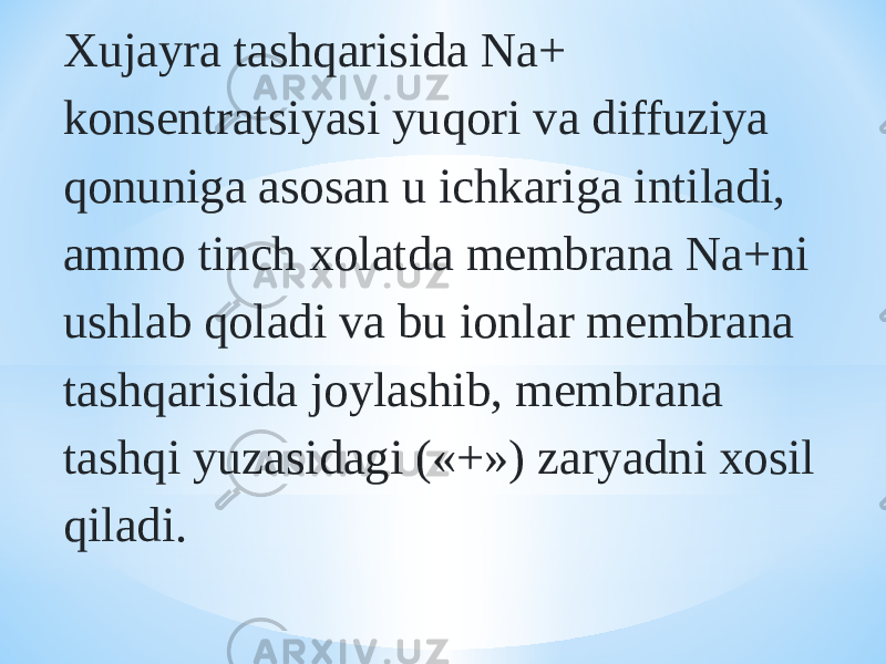 Xujayra tashqarisida Na+ konsentratsiyasi yuqori va diffuziya qonuniga asosan u ichkariga intiladi, ammo tinch xolatda membrana Na+ni ushlab qoladi va bu ionlar membrana tashqarisida joylashib, membrana tashqi yuzasidagi («+») zaryadni xosil qiladi. 