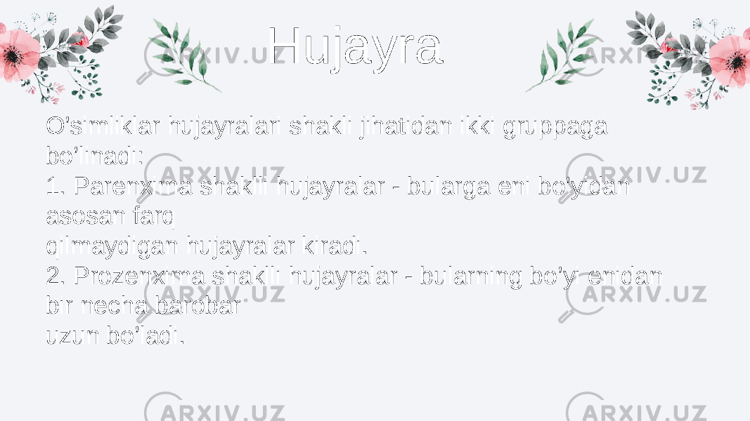 Hujayra O’simliklar hujayralari shakli jihatidan ikki gruppaga bo’linadi: 1. Parenxima shaklli hujayralar - bularga eni bo’yidan asosan farq qilmaydigan hujayralar kiradi. 2. Prozenxima shaklli hujayralar - bularning bo’yi enidan bir necha barobar uzun bo’ladi. 