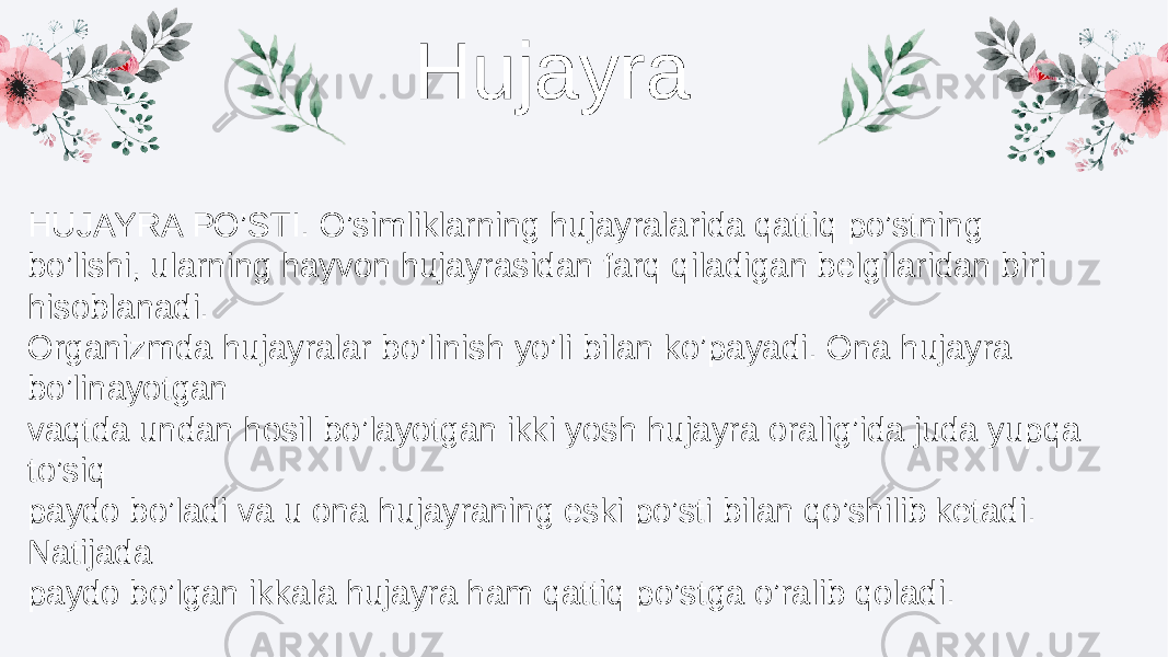 Hujayra HUJAYRA PO’STI. O’simliklarning hujayralarida qattiq po’stning bo’lishi, ularning hayvon hujayrasidan farq qiladigan belgilaridan biri hisoblanadi. Organizmda hujayralar bo’linish yo’li bilan ko’payadi. Ona hujayra bo’linayotgan vaqtda undan hosil bo’layotgan ikki yosh hujayra oralig’ida juda yupqa to’siq paydo bo’ladi va u ona hujayraning eski po’sti bilan qo’shilib ketadi. Natijada paydo bo’lgan ikkala hujayra ham qattiq po’stga o’ralib qoladi. 