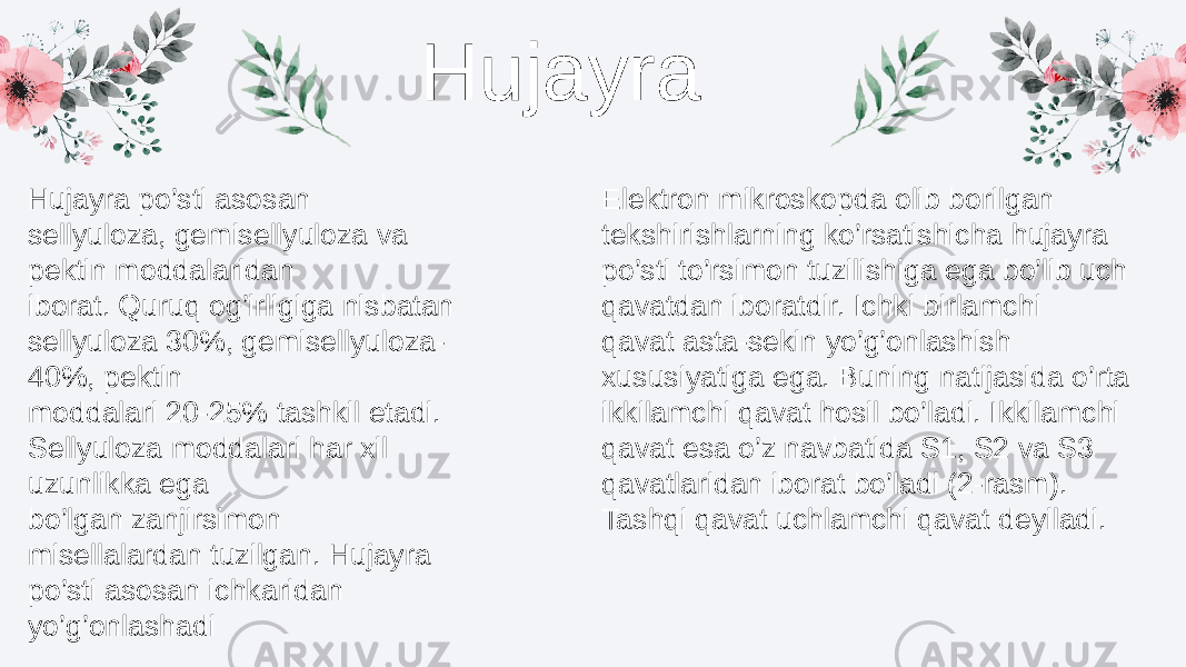 Hujayra Hujayra po’sti asosan sellyuloza, gemisellyuloza va pektin moddalaridan iborat. Quruq og’irligiga nisbatan sellyuloza 30%, gemisellyuloza- 40%, pektin moddalari 20-25% tashkil etadi. Sellyuloza moddalari har xil uzunlikka ega bo’lgan zanjirsimon misellalardan tuzilgan. Hujayra po’sti asosan ichkaridan yo’g’onlashadi Elektron mikroskopda olib borilgan tekshirishlarning ko’rsatishicha hujayra po’sti to’rsimon tuzilishiga ega bo’lib uch qavatdan iboratdir. Ichki birlamchi qavat asta-sekin yo’g’onlashish xususiyatiga ega. Buning natijasida o’rta ikkilamchi qavat hosil bo’ladi. Ikkilamchi qavat esa o’z navbatida S1, S2 va S3 qavatlaridan iborat bo’ladi (2-rasm). Tashqi qavat uchlamchi qavat deyiladi. 