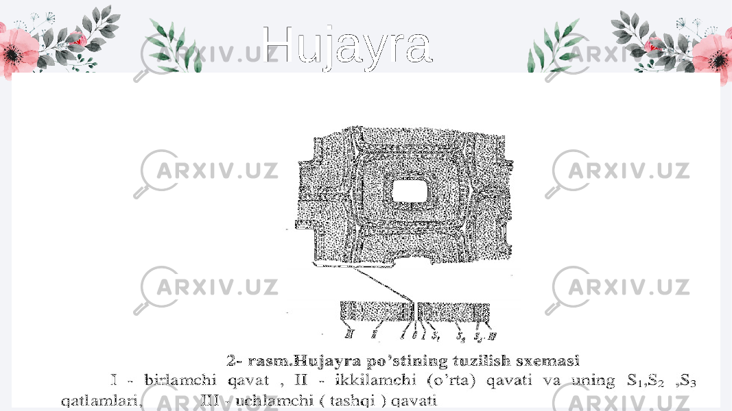 Hujayra 