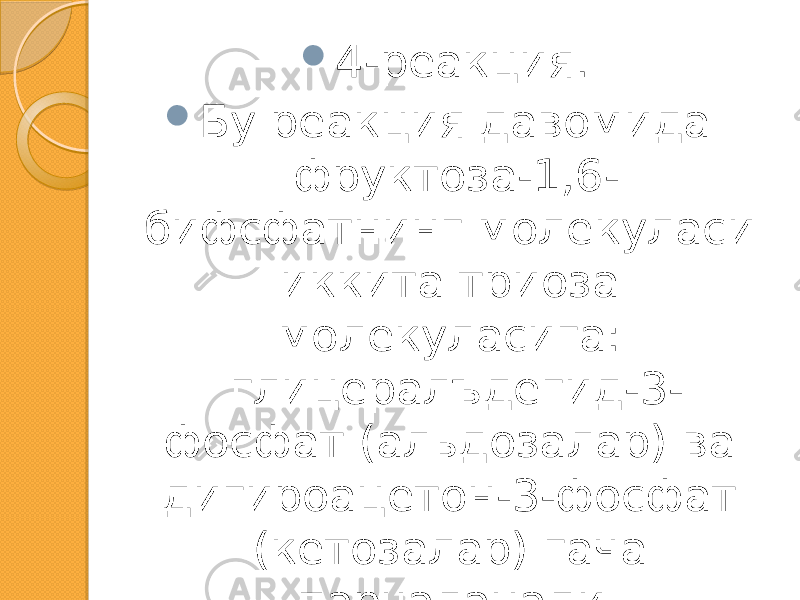  4-реакция.  Бу реакция давомида фруктоза-1,6- бифсфатнинг молекуласи иккита триоза молекуласига: глицералъдегид-3- фосфат (альдозалар) ва дигироацетон-3-фосфат (кетозалар) гача парчаланади . 