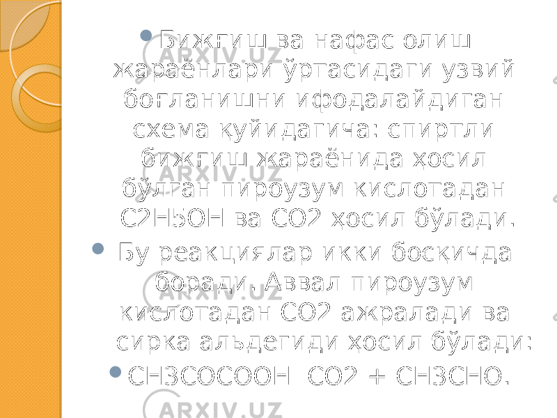  Бижғиш ва нафас олиш жараёнлари ўртасидаги узвий боғланишни ифодалайдиган схема қуйидагича: спиртли бижғиш жараёнида ҳосил бўлган пироузум кислотадан С2Н5ОН ва СО2 ҳосил бўлади.  Бу реакциялар икки босқичда боради. Аввал пироузум кислотадан СО2 ажралади ва сирка альдегиди ҳосил бўлади:  СН3СОСООН СО2 + СН3СНО. 