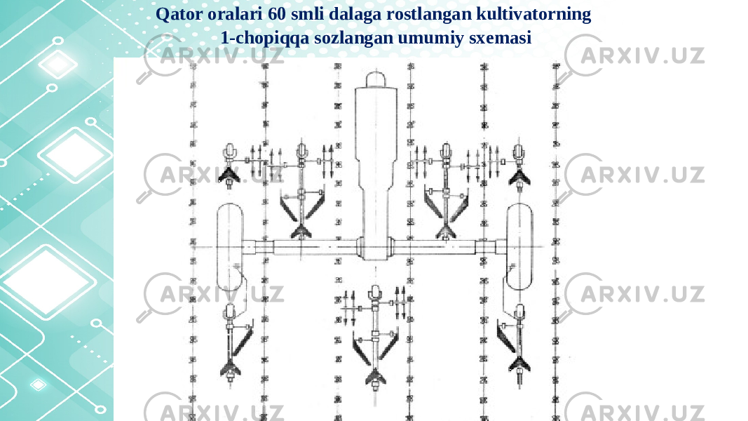 Qator oralari 60 smli dalaga rostlangan kultivatorning 1-chopiqqa sozlangan umumiy sxemasi 