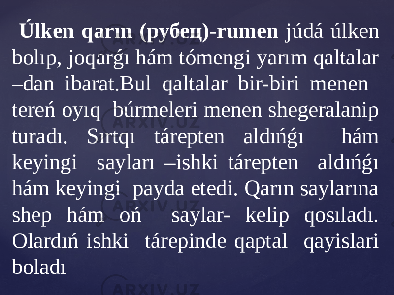  Úlken qarın (рубец)-rumen júdá úlken bolıp, joqarǵı hám tómengi yarım qaltalar –dan ibarat.Bul qaltalar bir-biri menen tereń oyıq búrmeleri menen shegeralanip turadı. Sırtqı tárepten aldıńǵı hám keyingi sayları –ishki tárepten aldıńǵı hám keyingi payda etedi. Qarın saylarına shep hám oń saylar- kelip qosıladı. Olardıń ishki tárepinde qaptal qayislari boladı 