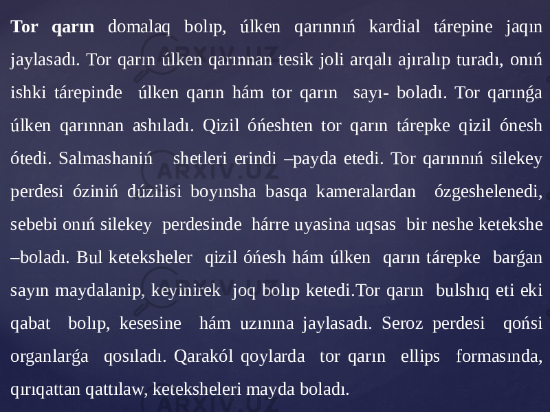 Tor qarın domalaq bolıp, úlken qarınnıń kardial tárepine jaqın jaylasadı. Tor qarın úlken qarınnan tesik joli arqalı ajıralıp turadı, onıń ishki tárepinde úlken qarın hám tor qarın sayı- boladı. Tor qarınǵa úlken qarınnan ashıladı. Qizil óńeshten tor qarın tárepke qizil ónesh ótedi. Salmashaniń shetleri erindi –payda etedi. Tor qarınnıń silekey perdesi óziniń dúzilisi boyınsha basqa kameralardan ózgeshelenedi, sebebi onıń silekey perdesinde hárre uyasina uqsas bir neshe ketekshe –boladı. Bul keteksheler qizil óńesh hám úlken qarın tárepke barǵan sayın maydalanip, keyinirek joq bolıp ketedi.Tor qarın bulshıq eti eki qabat bolıp, kesesine hám uzınına jaylasadı. Seroz perdesi qońsi organlarǵa qosıladı. Qarakól qoylarda tor qarın ellips formasında, qırıqattan qattılaw, keteksheleri mayda boladı. 