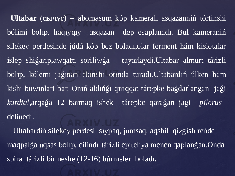  Ultabar (сычуг) – abomasum kóp kamerali asqazanniń tórtinshi bólimi bolıp, haqıyqıy asqazan dep esaplanadı. Bul kameraniń silekey perdesinde júdá kóp bez boladı,olar ferment hám kislotalar islep shiǵarip,awqattı soriliwǵa tayarlaydi.Ultabar almurt tárizli bolıp, kólemi jaǵinan ekinshi orinda turadı.Ultabardiń úlken hám kishi buwınlari bar. Onıń aldıńǵı qırıqqat tárepke baǵdarlangan jaǵi kardial ,arqaǵa 12 barmaq ishek tárepke qaraǵan jagi pilorus delinedi. Ultabardiń silekey perdesi sıypaq, jumsaq, aqshil qizǵish reńde maqpalǵa uqsas bolıp, cilindr tárizli epiteliya menen qaplanǵan.Onda spiral tárizli bir neshe (12-16) búrmeleri boladı. 