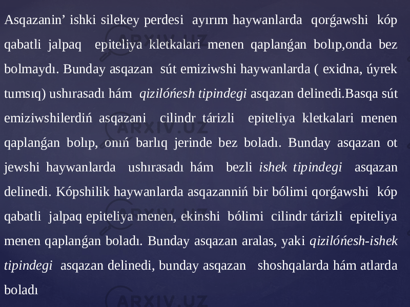 Asqazanin’ ishki silekey perdesi ayırım haywanlarda qorǵawshi kóp qabatli jalpaq epiteliya kletkalari menen qaplanǵan bolıp,onda bez bolmaydı. Bunday asqazan sút emiziwshi haywanlarda ( exidna, úyrek tumsıq) ushırasadı hám qizilóńesh tipindegi asqazan delinedi.Basqa sút emiziwshilerdiń asqazani cilindr tárizli epiteliya kletkalari menen qaplanǵan bolıp, onıń barlıq jerinde bez boladı. Bunday asqazan ot jewshi haywanlarda ushırasadı hám bezli ishek tipindegi asqazan delinedi. Kópshilik haywanlarda asqazanniń bir bólimi qorǵawshi kóp qabatli jalpaq epiteliya menen, ekinshi bólimi cilindr tárizli epiteliya menen qaplanǵan boladı. Bunday asqazan aralas, yaki qizilóńesh-ishek tipindegi asqazan delinedi, bunday asqazan shoshqalarda hám atlarda boladı 