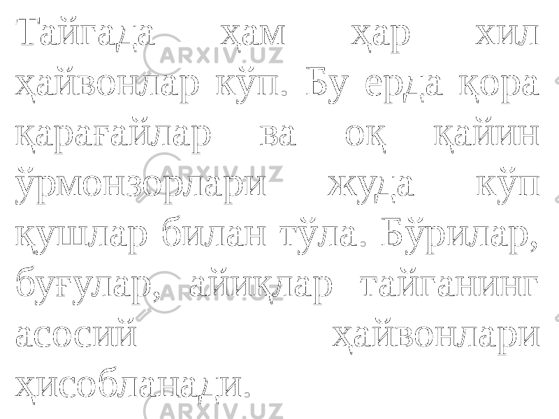 Тайгада ҳам ҳар хил ҳайвонлар кўп. Бу ерда қора қарағайлар ва оқ қайин ўрмонзорлари жуда кўп қушлар билан тўла. Бўрилар, буғулар, айиқлар тайганинг асосий ҳайвонлари ҳисобланади. 