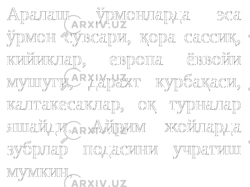 Аралаш ўрмонларда эса ўрмон сувсари, қора сассиқ, кийиклар, европа ёввойи мушуги, дарахт курбақаси, калтакесаклар, оқ турналар яшайди. Айрим жойларда зубрлар подасини учратиш мумкин. 