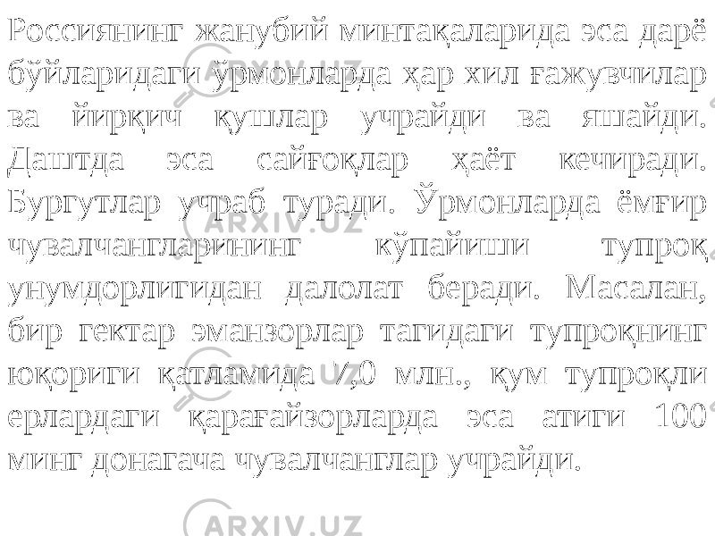 Россиянинг жанубий минтақаларида эса дарё бўйларидаги ўрмонларда ҳар хил ғажувчилар ва йирқич қушлар учрайди ва яшайди. Даштда эса сайғоқлар ҳаёт кечиради. Бургутлар учраб туради. Ўрмонларда ёмғир чувалчангларининг кўпайиши тупроқ унумдорлигидан далолат беради. Масалан, бир гектар эманзорлар тагидаги тупроқнинг юқориги қатламида 7,0 млн., қум тупроқли ерлардаги қарағайзорларда эса атиги 100 минг донагача чувалчанглар учрайди. 