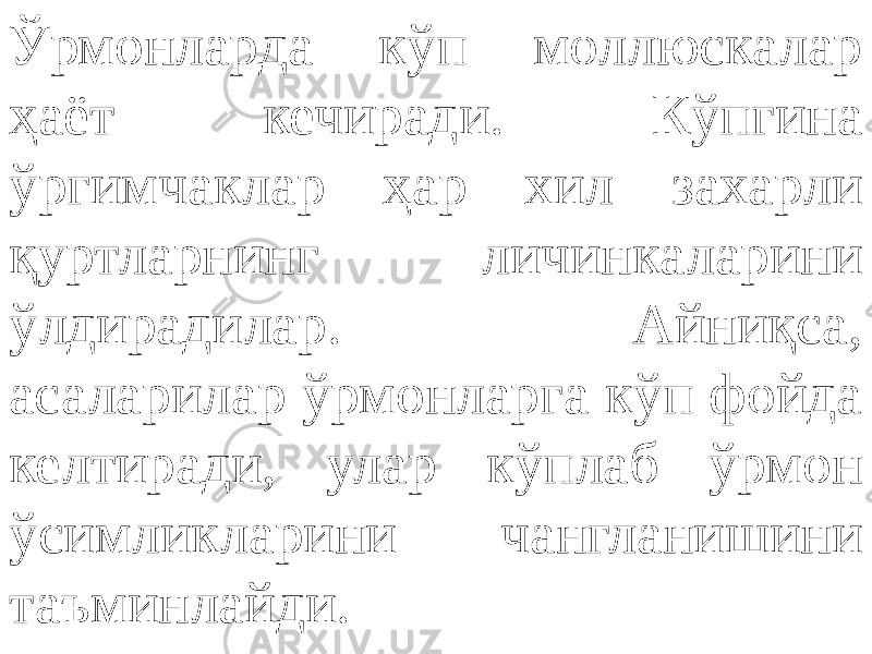 Ўрмонларда кўп моллюскалар ҳаёт кечиради. Кўпгина ўргимчаклар ҳар хил захарли қуртларнинг личинкаларини ўлдирадилар. Айниқса, асаларилар ўрмонларга кўп фойда келтиради, улар кўплаб ўрмон ўсимликларини чангланишини таъминлайди. 