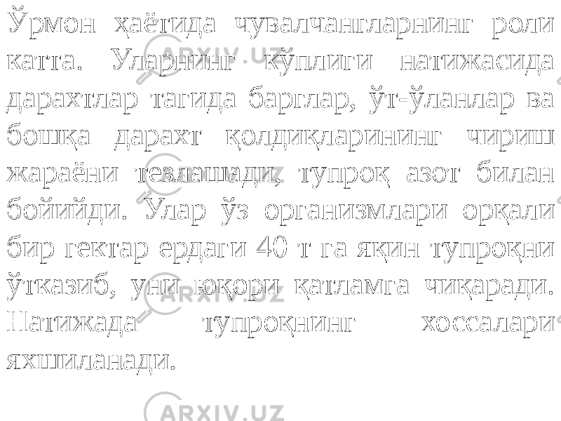 Ўрмон ҳаётида чувалчангларнинг роли катта. Уларнинг кўплиги натижасида дарахтлар тагида барглар, ўт-ўланлар ва бошқа дарахт қолдиқларининг чириш жараёни тезлашади, тупроқ азот билан бойийди. Улар ўз организмлари орқали бир гектар ердаги 40 т га яқин тупроқни ўтказиб, уни юқори қатламга чиқаради. Натижада тупроқнинг хоссалари яхшиланади. 