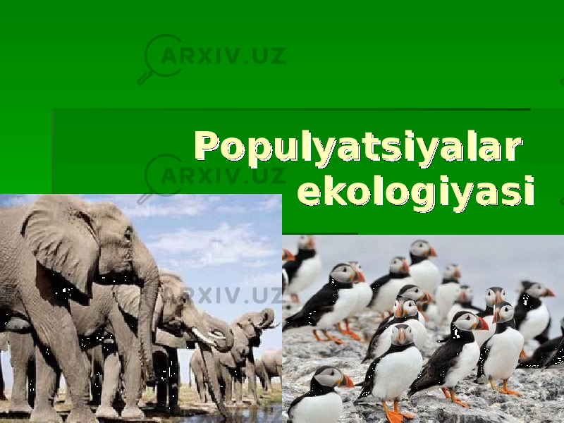 Populyatsiyalar Populyatsiyalar ekologiyasiekologiyasi 