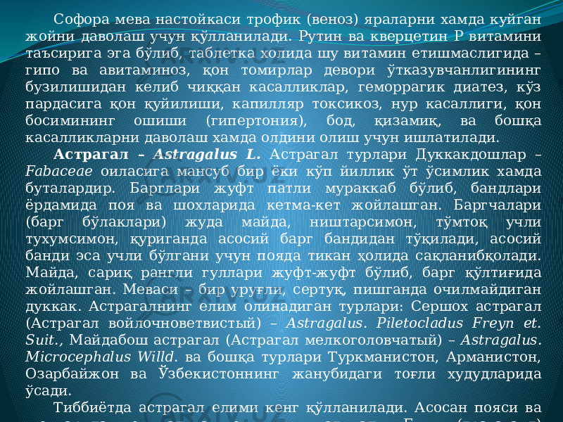 Софора мева настойкаси трофик (веноз) яраларни хамда куйган жойни даволаш учун қўлланилади. Рутин ва кверцетин Р витамини таъсирига эга бўлиб, таблетка холида шу витамин етишмаслигида – гипо ва авитаминоз, қон томирлар девори ўтказувчанлигининг бузилишидан келиб чиққан касалликлар, геморрагик диатез, кўз пардасига қон қуйилиши, капилляр токсикоз, нур касаллиги, қон босимининг ошиши (гипертония), бод, қизамиқ, ва бошқа касалликларни даволаш хамда олдини олиш учун ишлатилади. Астрагал – Astragalus L. Астрагал турлари Дуккакдошлар – Fabaceae оиласига мансуб бир ёки кўп йиллик ўт ўсимлик хамда буталардир. Барглари жуфт патли мураккаб бўлиб, бандлари ёрдамида поя ва шохларида кетма-кет жойлашган. Баргчалари (барг бўлаклари) жуда майда, ништарсимон, тўмтоқ учли тухумсимон, қуриганда асосий барг бандидан тўқилади, асосий банди эса учли бўлгани учун пояда тикан ҳолида сақланибқолади. Майда, сариқ рангли гуллари жуфт-жуфт бўлиб, барг қўлтиғида жойлашган. Меваси – бир уруғли, сертуқ, пишганда очилмайдиган дуккак. Астрагалнинг елим олинадиган турлари: Сершох астрагал (Астрагал войлочноветвистый) – Astragalus. Piletocladus Freyn et. Suit., Майдабош астрагал (Астрагал мелкоголовчатый) – Astragalus. Microcephalus Willd. ва бошқа турлари Туркманистон, Арманистон, Озарбайжон ва Ўзбекистоннинг жанубидаги тоғли худудларида ўсади. Тиббиётда астрагал елими кенг қўлланилади. Асосан пояси ва шохларидан олинадиган елими ишлатилади. Елим (трагагант) таркибида 60 % бассорин, 8-10 % арабин ва бошқауглеводлар бор. Астрагал елимидан (араб елими каби) таблетка, ҳабдори, эмульсия ва бошқа дори шакллари тайёрлашда фойдаланилади. 