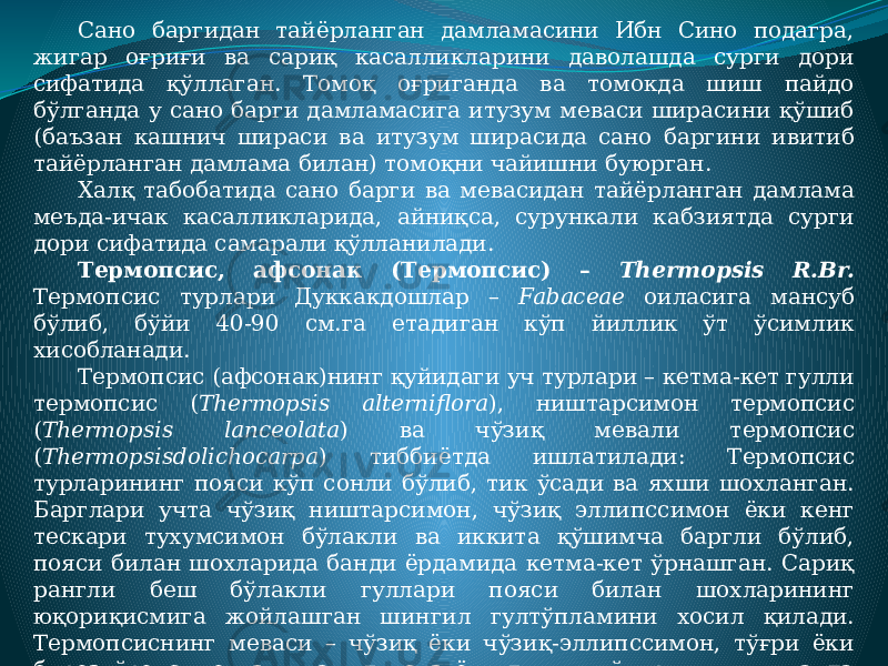 Сано баргидан тайёрланган дамламасини Ибн Сино подагра, жигар оғриғи ва сариқ касалликларини даволашда сурги дори сифатида қўллаган. Томоқ оғриганда ва томокда шиш пайдо бўлганда у сано барги дамламасига итузум меваси ширасини қўшиб (баъзан кашнич шираси ва итузум ширасида сано баргини ивитиб тайёрланган дамлама билан) томоқни чайишни буюрган. Халқ табобатида сано барги ва мевасидан тайёрланган дамлама меъда-ичак касалликларида, айниқса, сурункали кабзиятда сурги дори сифатида самарали қўлланилади. Термопсис, афсонак (Термопсис) – Thermopsis R.Br. Термопсис турлари Дуккакдошлар – Fabaceae оиласига мансуб бўлиб, бўйи 40-90 см.га етадиган кўп йиллик ўт ўсимлик хисобланади. Термопсис (афсонак)нинг қуйидаги уч турлари – кетма-кет гулли термопсис ( Thermopsis аlterniflora ), ништарсимон термопсис ( Thermopsis lanceolata ) ва чўзиқ мевали термопсис ( Thermopsisdolichocarpa ) тиббиётда ишлатилади: Термопсис турларининг пояси кўп сонли бўлиб, тик ўсади ва яхши шохланган. Барглари учта чўзиқ ништарсимон, чўзиқ эллипссимон ёки кенг тескари тухумсимон бўлакли ва иккита қўшимча баргли бўлиб, пояси билан шохларида банди ёрдамида кетма-кет ўрнашган. Сариқ рангли беш бўлакли гуллари пояси билан шохларининг юқориқисмига жойлашган шингил гултўпламини хосил қилади. Термопсиснинг меваси – чўзиқ ёки чўзиқ-эллипссимон, тўғри ёки бироз ўроксимон эгилган, туксиз ёки тукли, кўпуруғли, пишганда очиладиган дуккакли ўсимлик. Термопсис май-август ойларида гуллайди, меваси июнь-сентябрда етилади. Термопсис турларининг хаммаси захарлидир! 